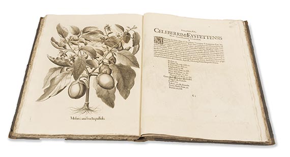 Basilius Besler - Hortus Eystettensis. 2 Bände - 