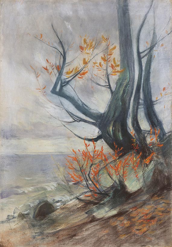 Hagemeister - Lohme - Küstenlandschaft auf Rügen
